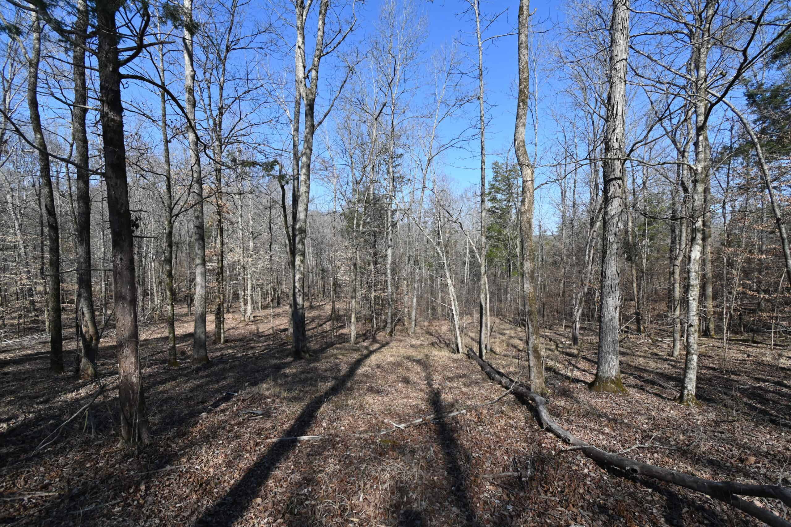 107.63 Acres For Sale in Middle Tennessee!