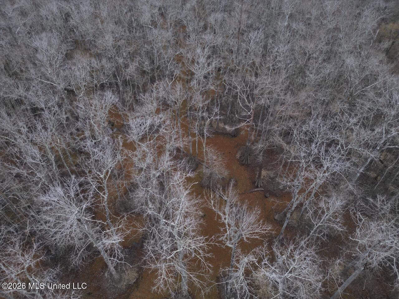431± Acres with Calcasieu River Frontage in Calcasieu Parish