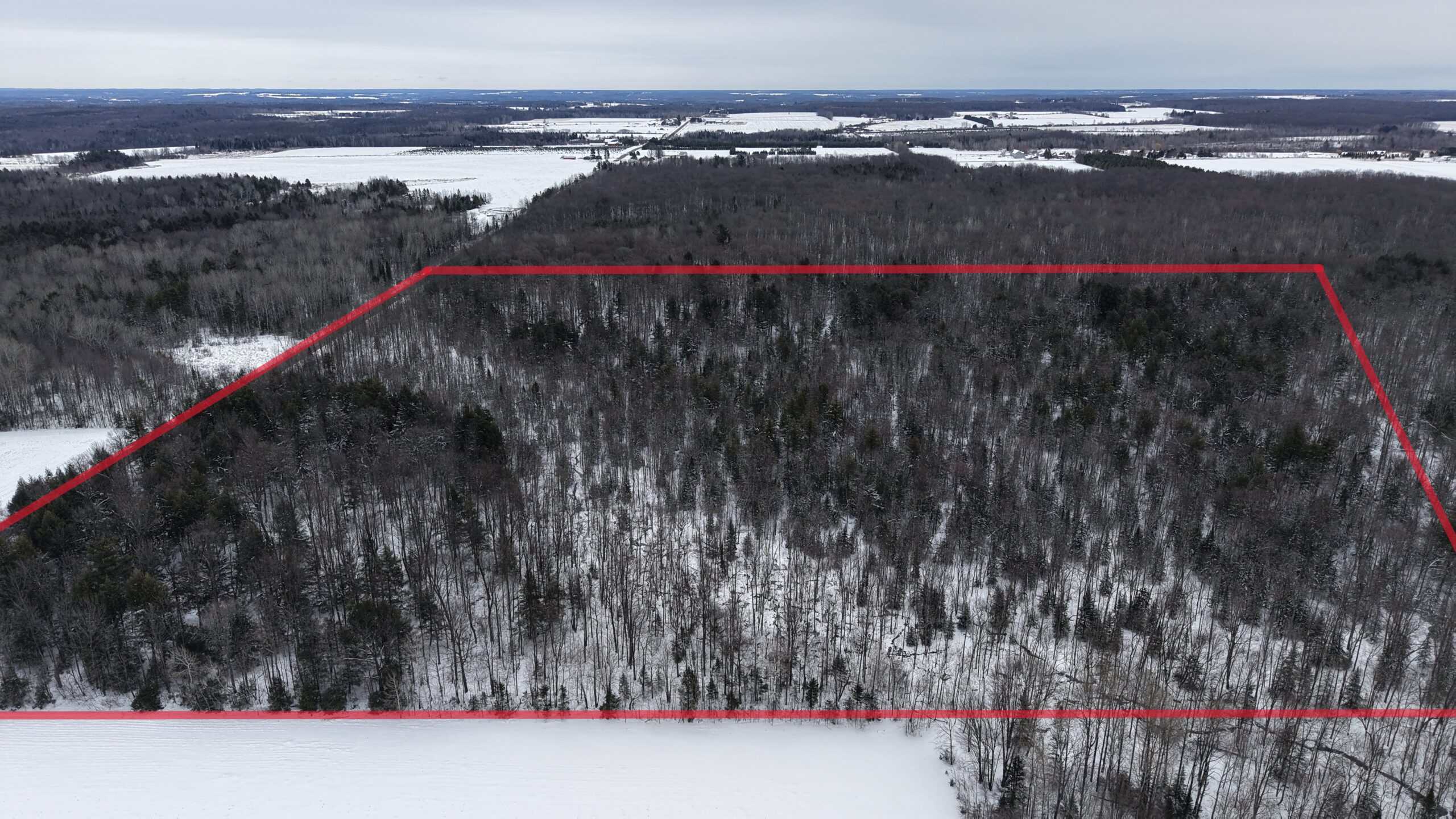 43+/-  Acre Marathon County Hunting, Timber and Rec Tract For Sale