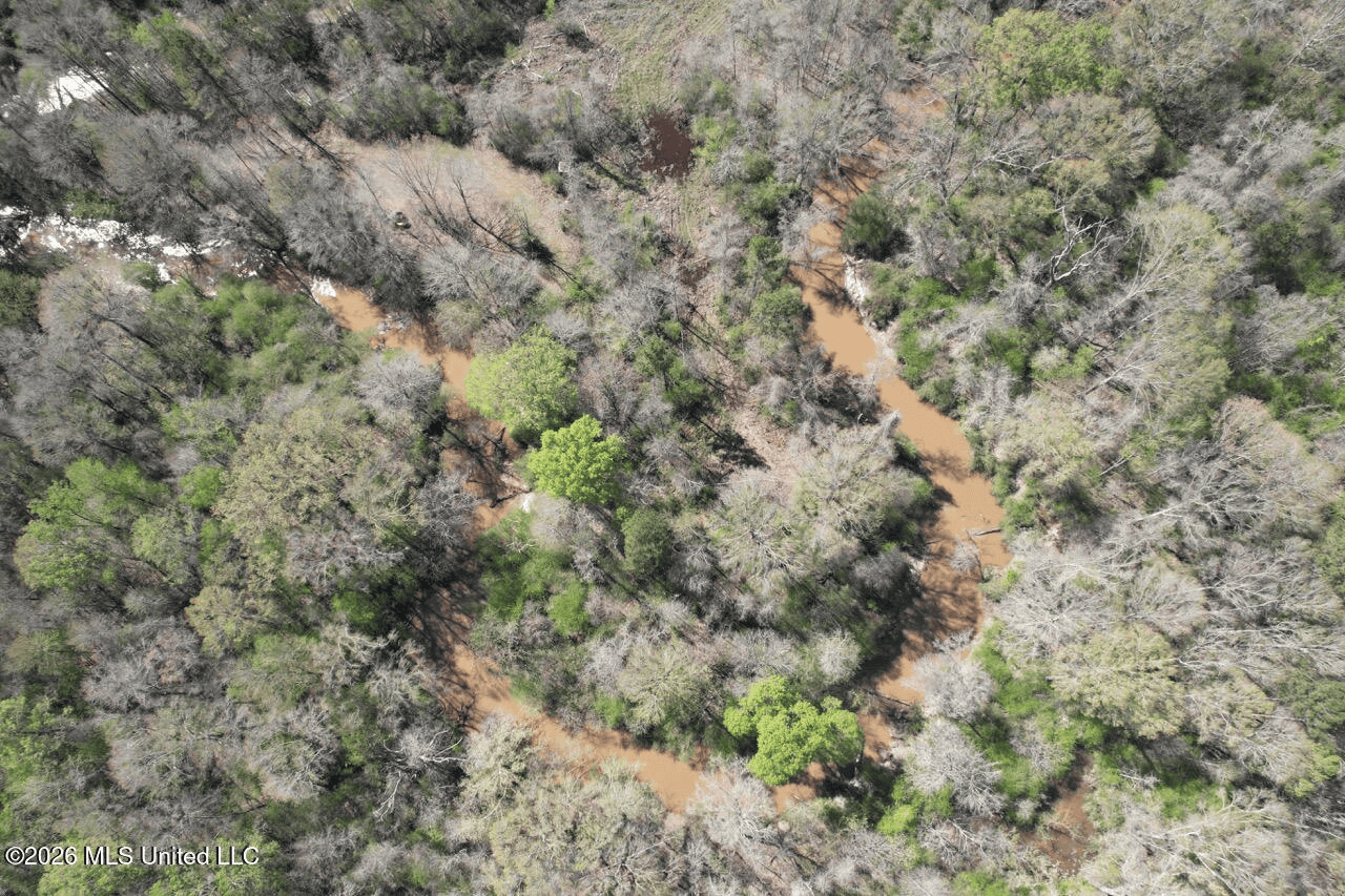 123± Acres Centreville MS on Chance Rd Amite County