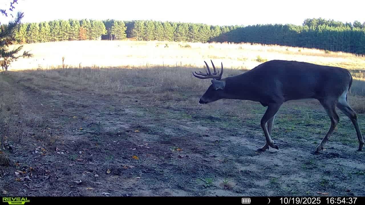160± acre Monroe County property Located off dead end road,