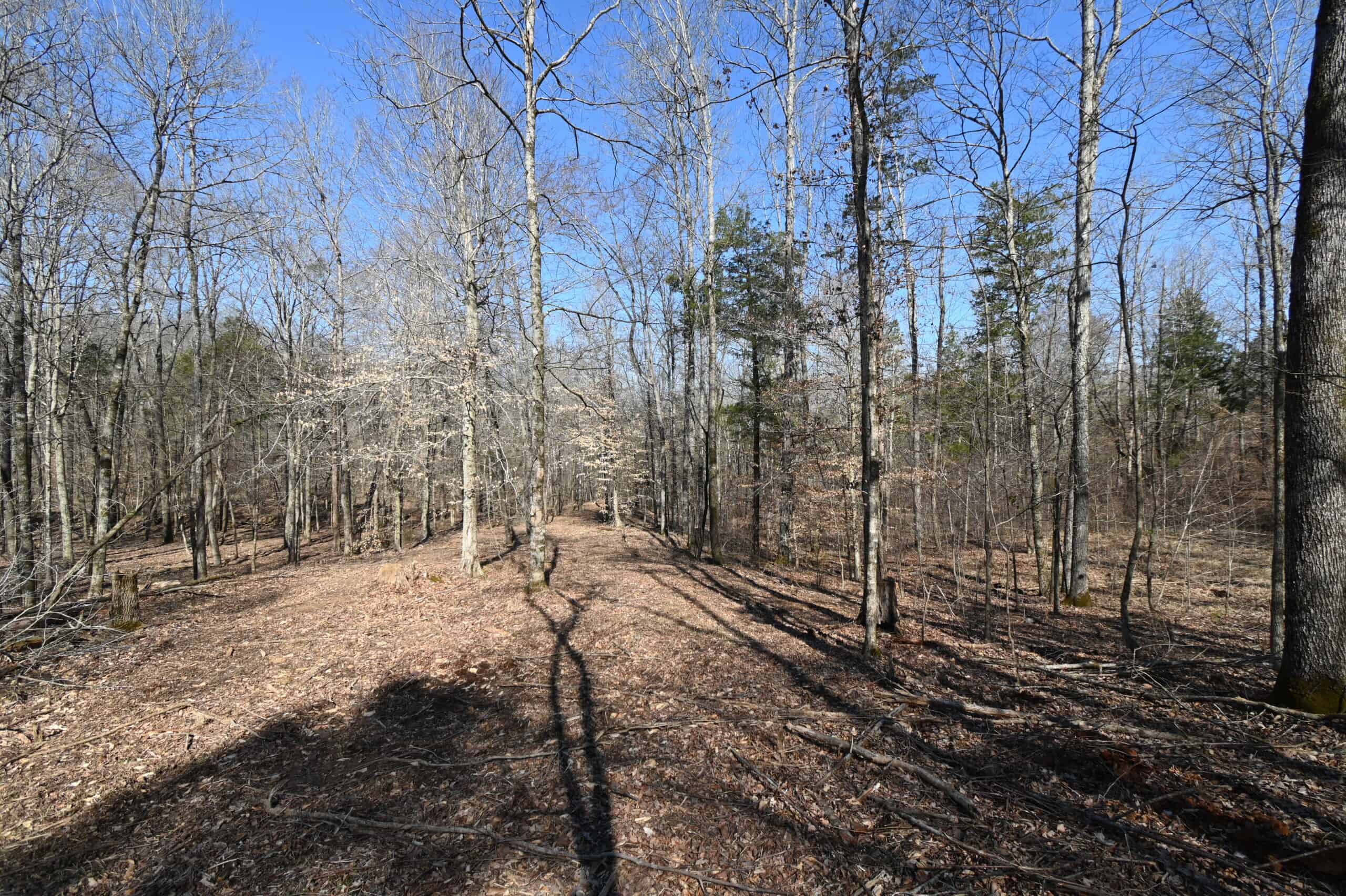 107.63 Acres For Sale in Middle Tennessee!