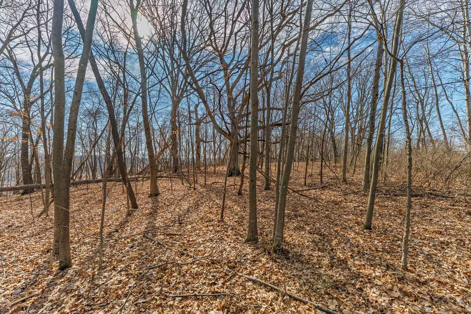 50 Acre Recreational -Hunting Land For Sale Richland County WI