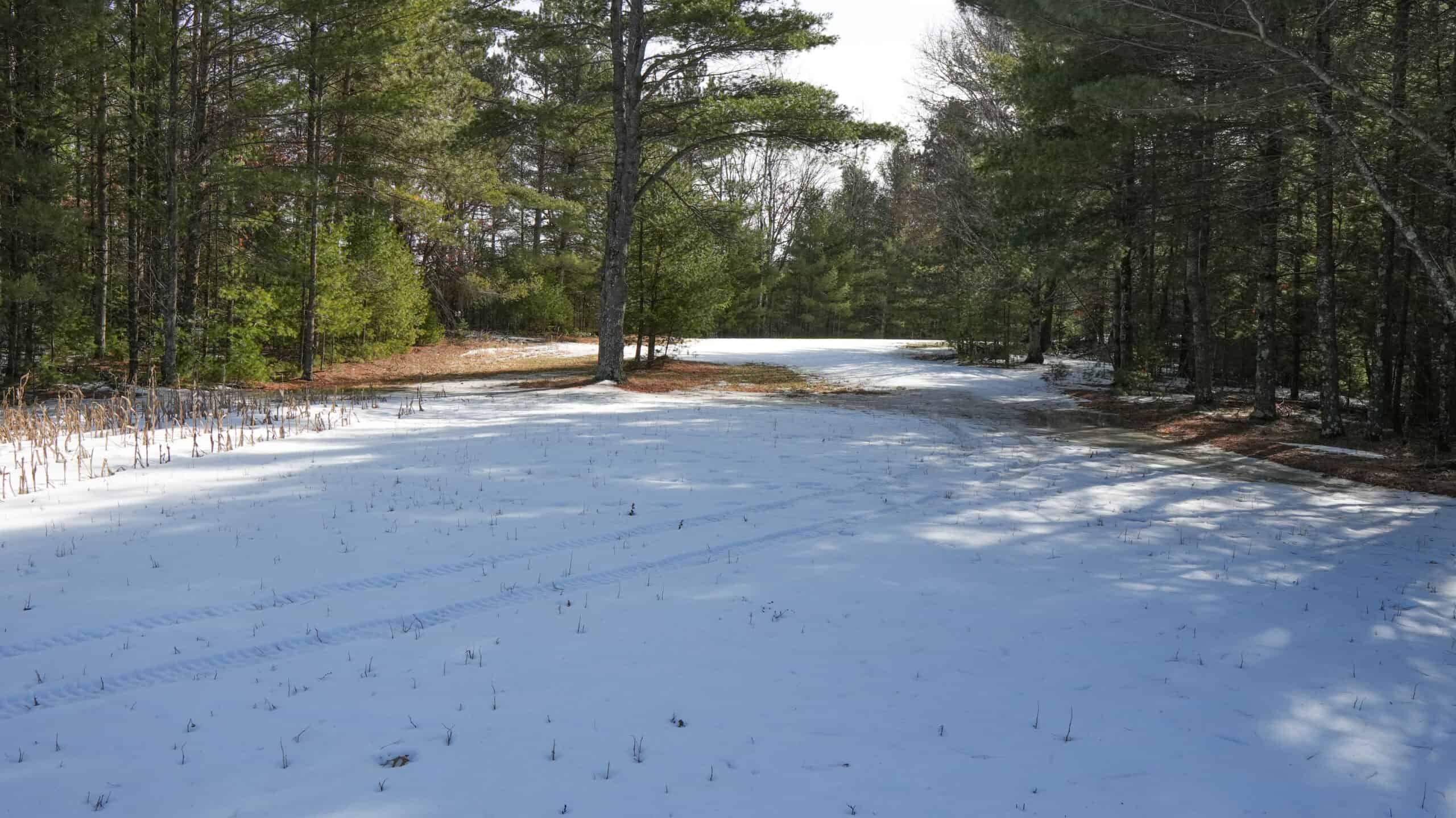 Portage County Wisconsin 80 Acres of Hunting Land for Sale