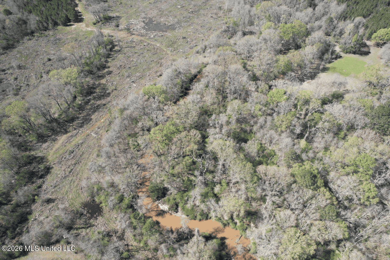 123± Acres Centreville MS on Chance Rd Amite County