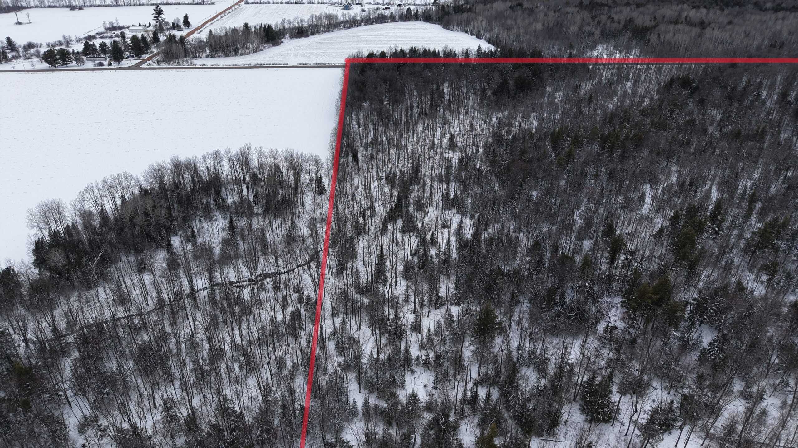 43+/-  Acre Marathon County Hunting, Timber and Rec Tract For Sale