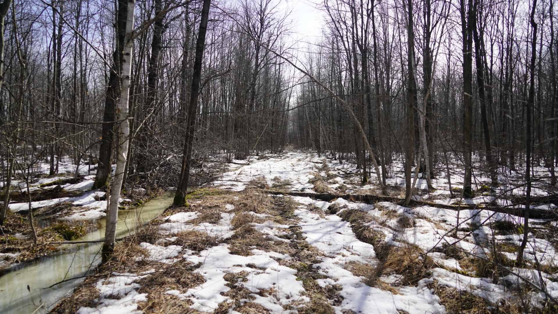 40± acre hunting property outside of Mosinee in Marathon County