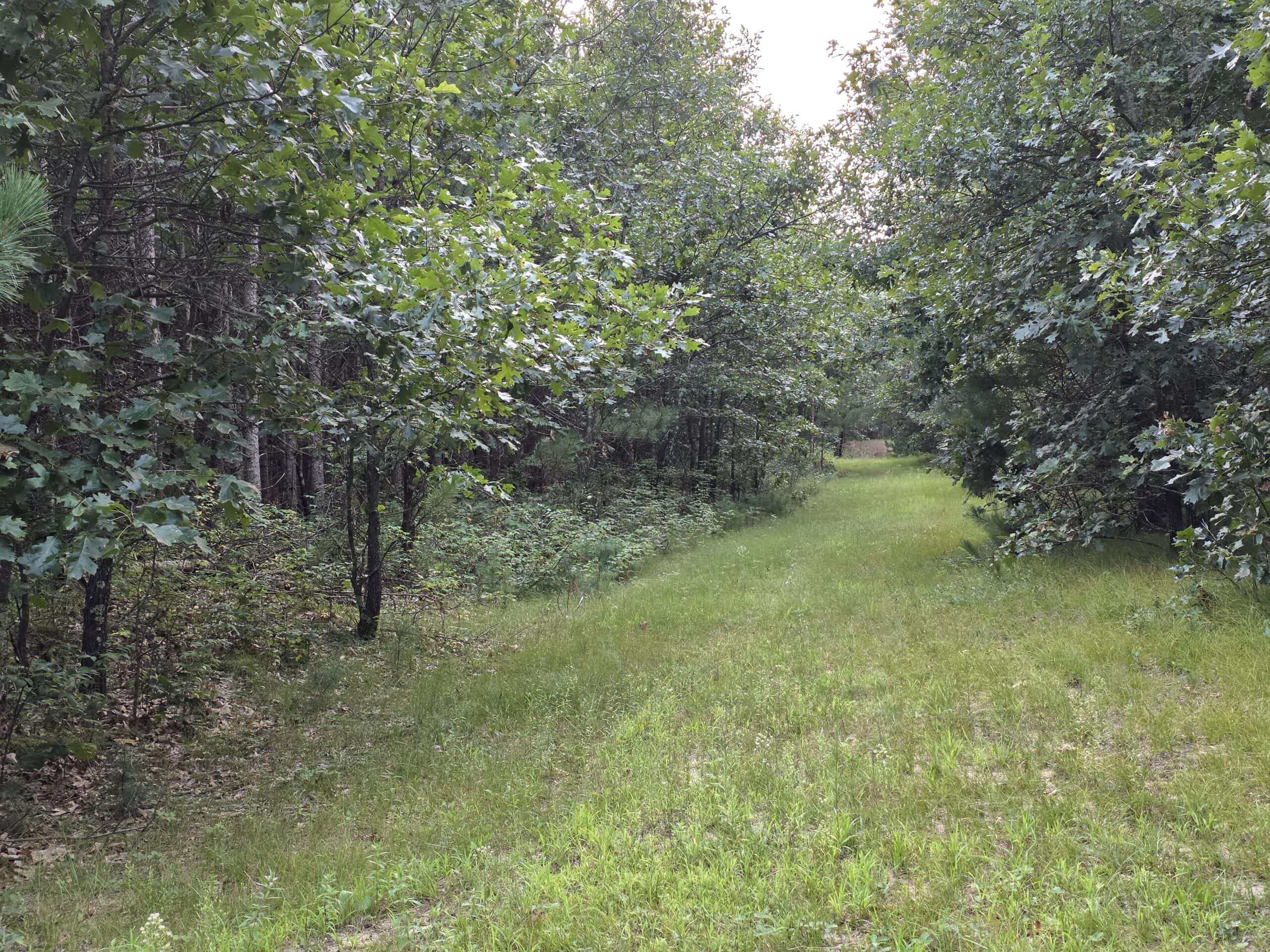 160± acre Monroe County property Located off dead end road,
