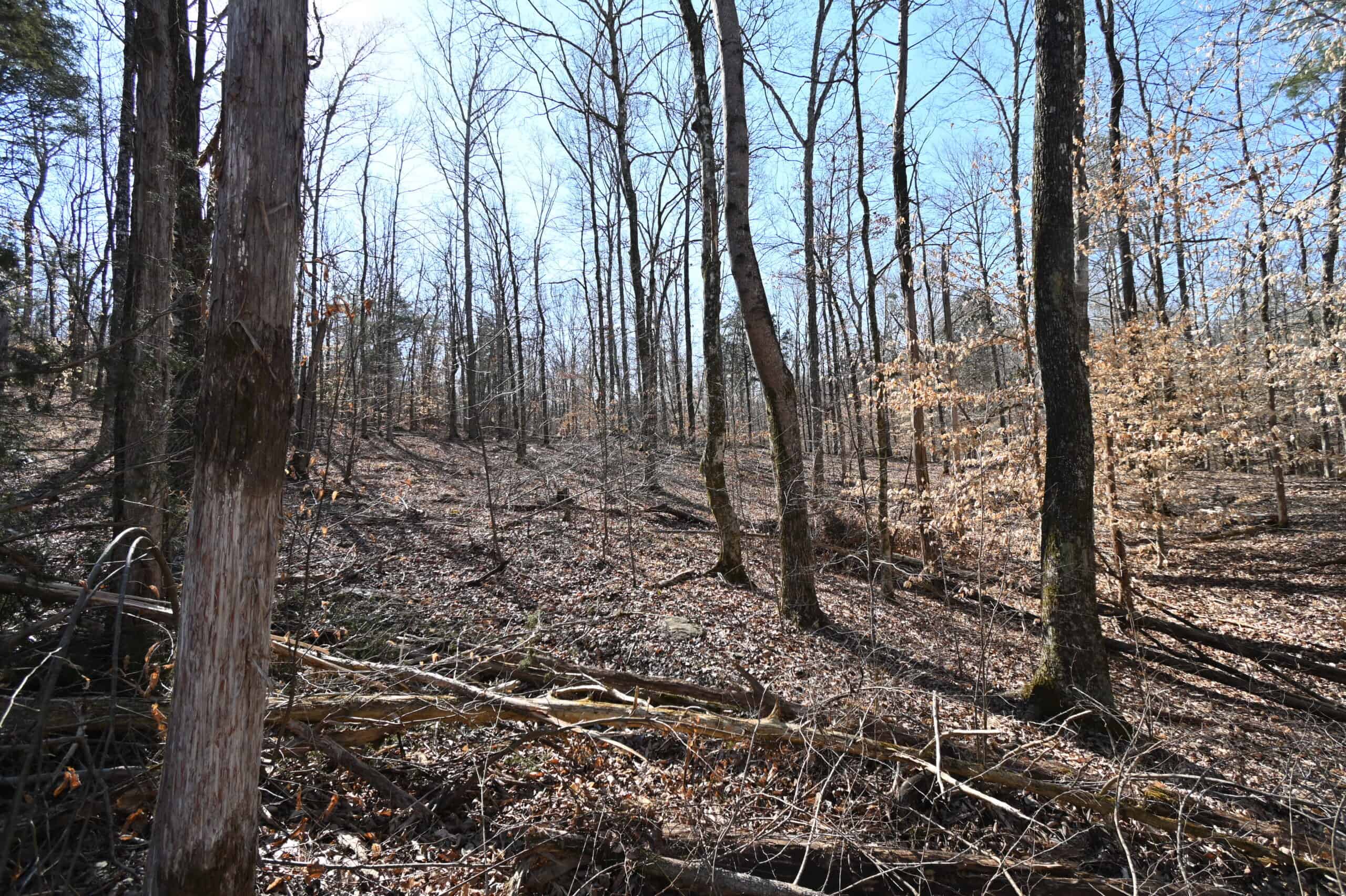 107.63 Acres For Sale in Middle Tennessee!