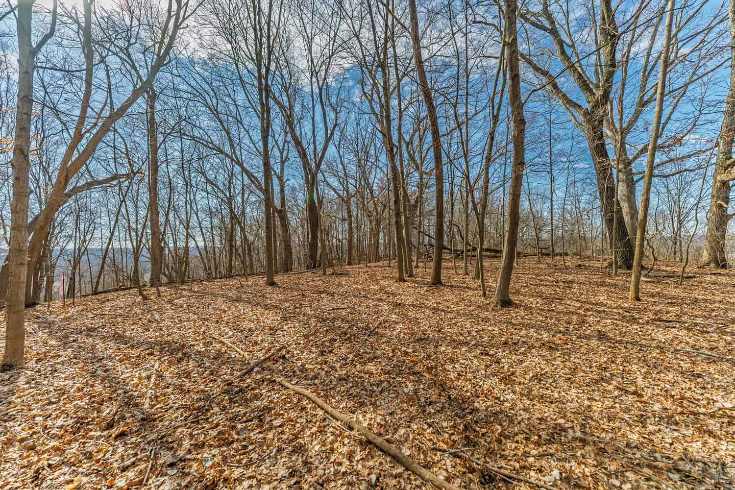 50 Acre Recreational -Hunting Land For Sale Richland County WI