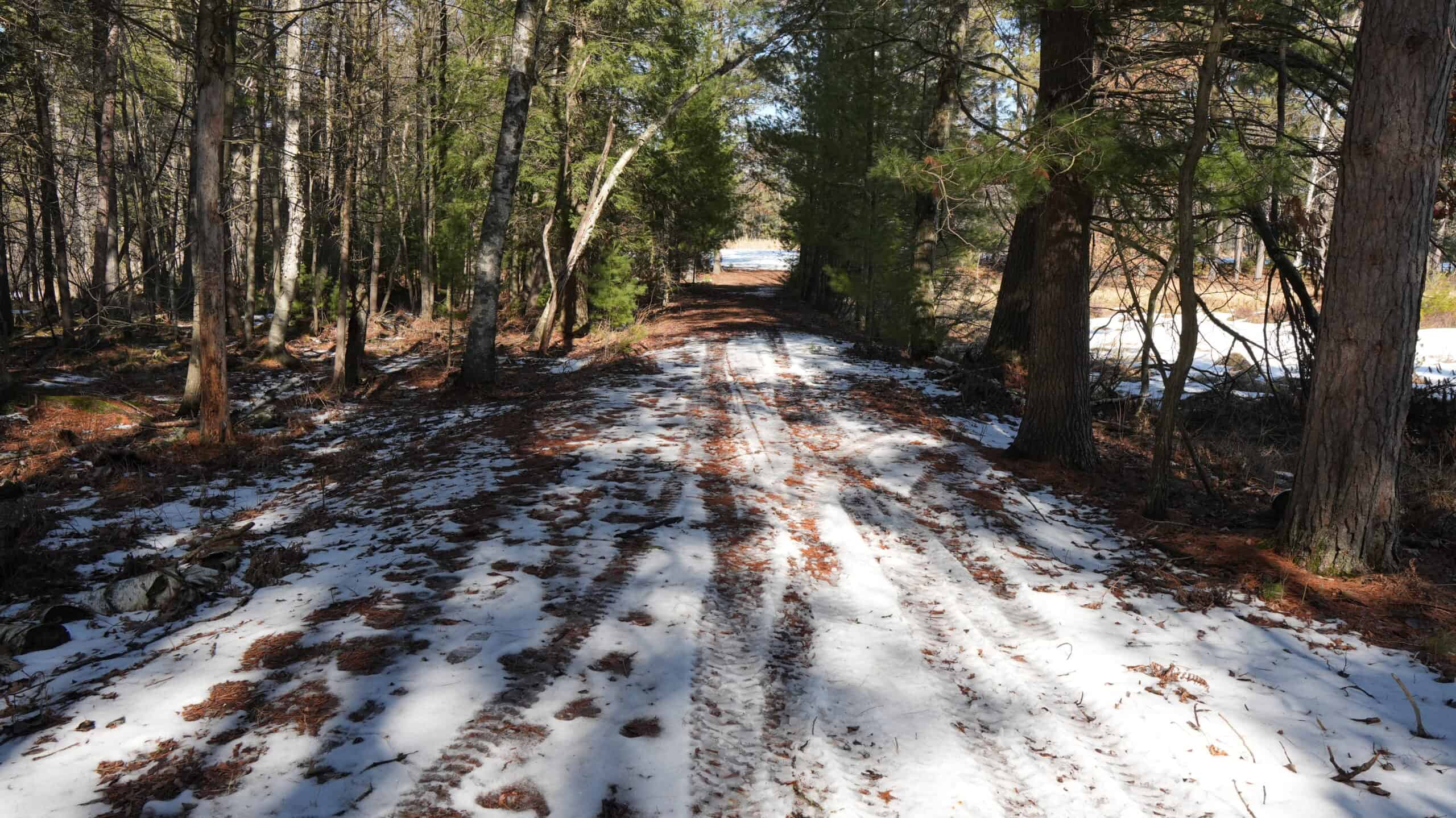 Portage County Wisconsin 80 Acres of Hunting Land for Sale
