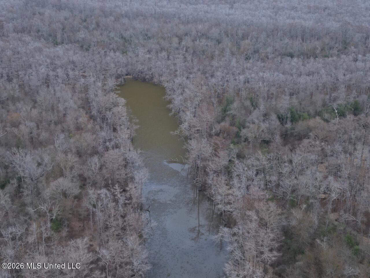 431± Acres with Calcasieu River Frontage in Calcasieu Parish