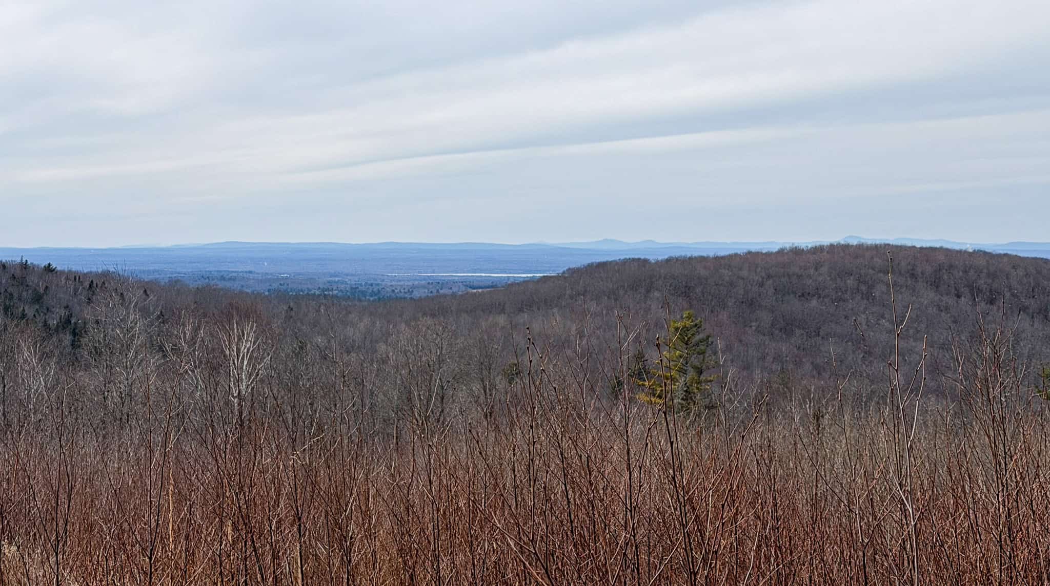 Expansive Mountain-View Acreage with Timber Value & Road Frontage