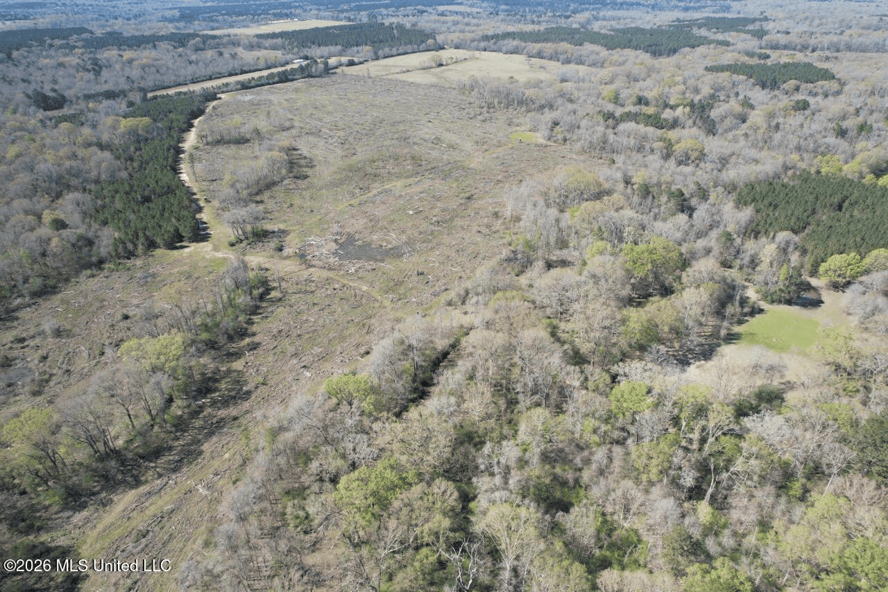 123± Acres Centreville MS on Chance Rd Amite County