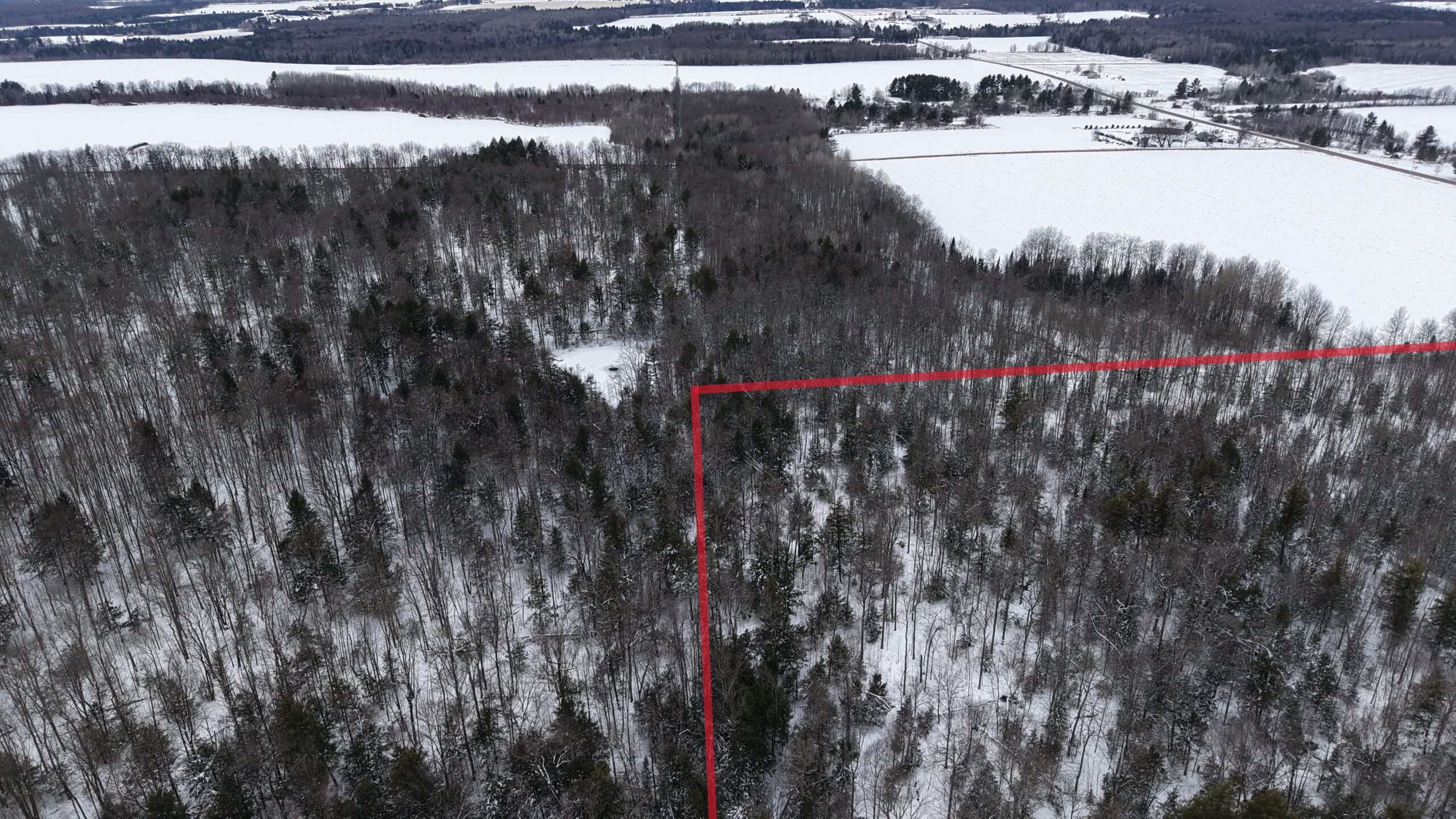 43+/-  Acre Marathon County Hunting, Timber and Rec Tract For Sale