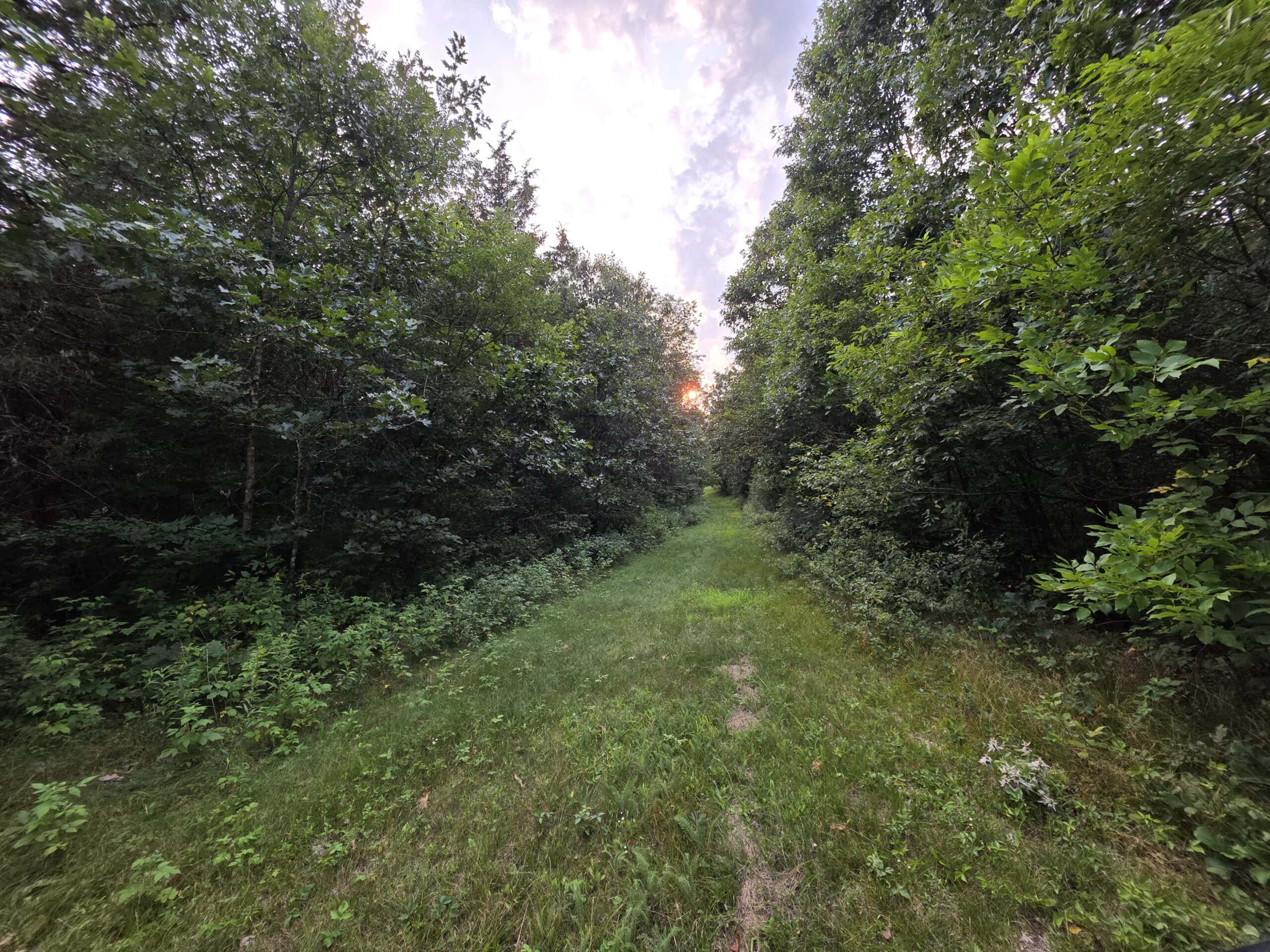 160± acre Monroe County property Located off dead end road,