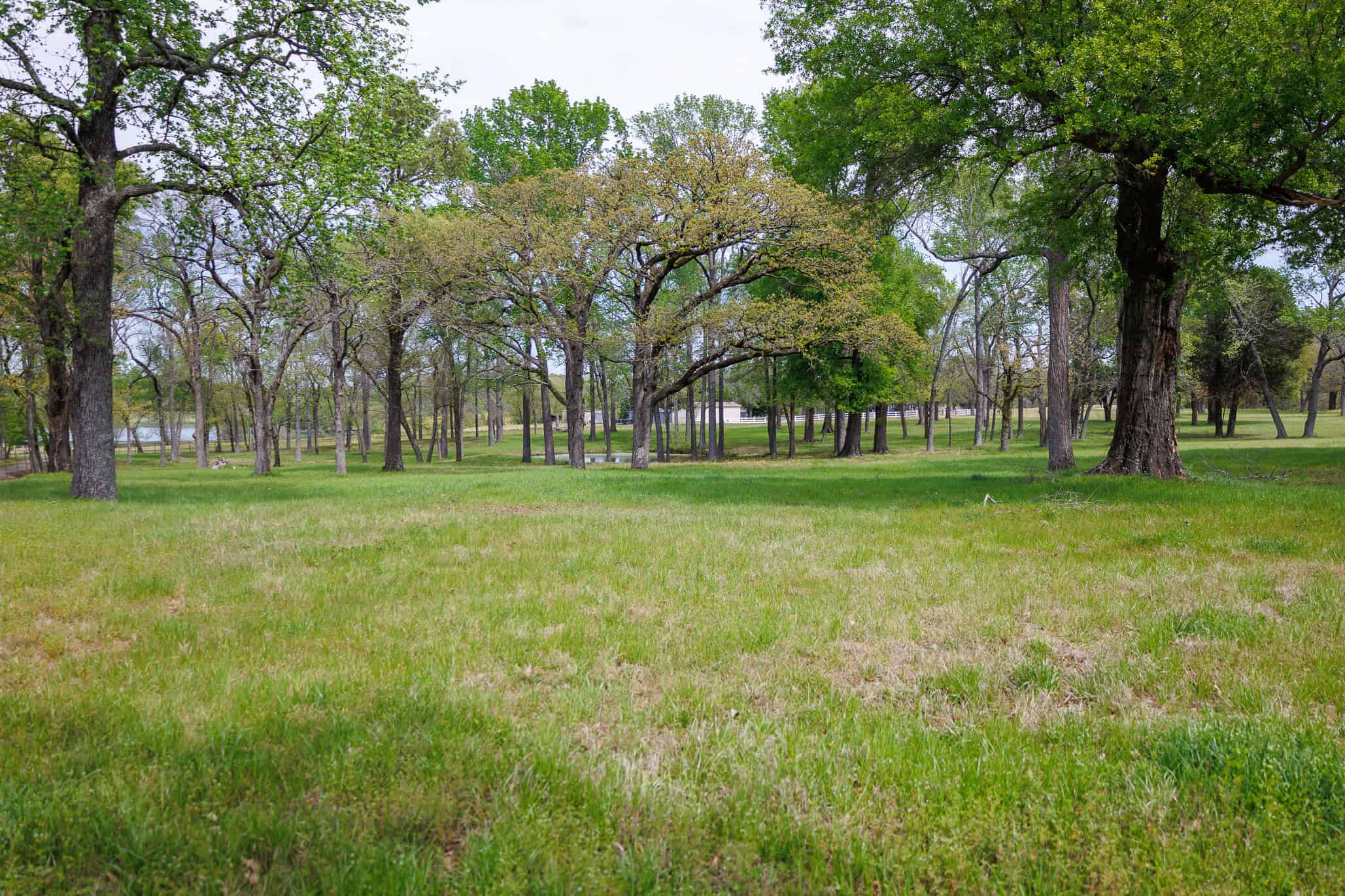 East Texas Recreational Ranch Near Ben Wheeler in Van Zandt County