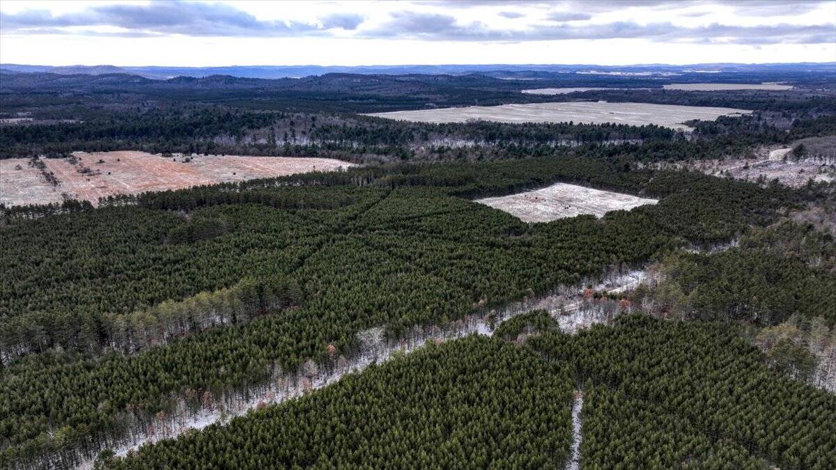 160± acre Monroe County property Located off dead end road,