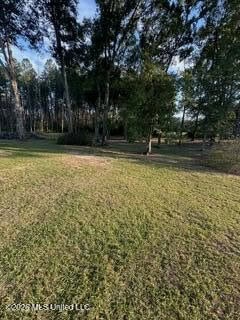 Amite County MS Turnkey 45 Acres