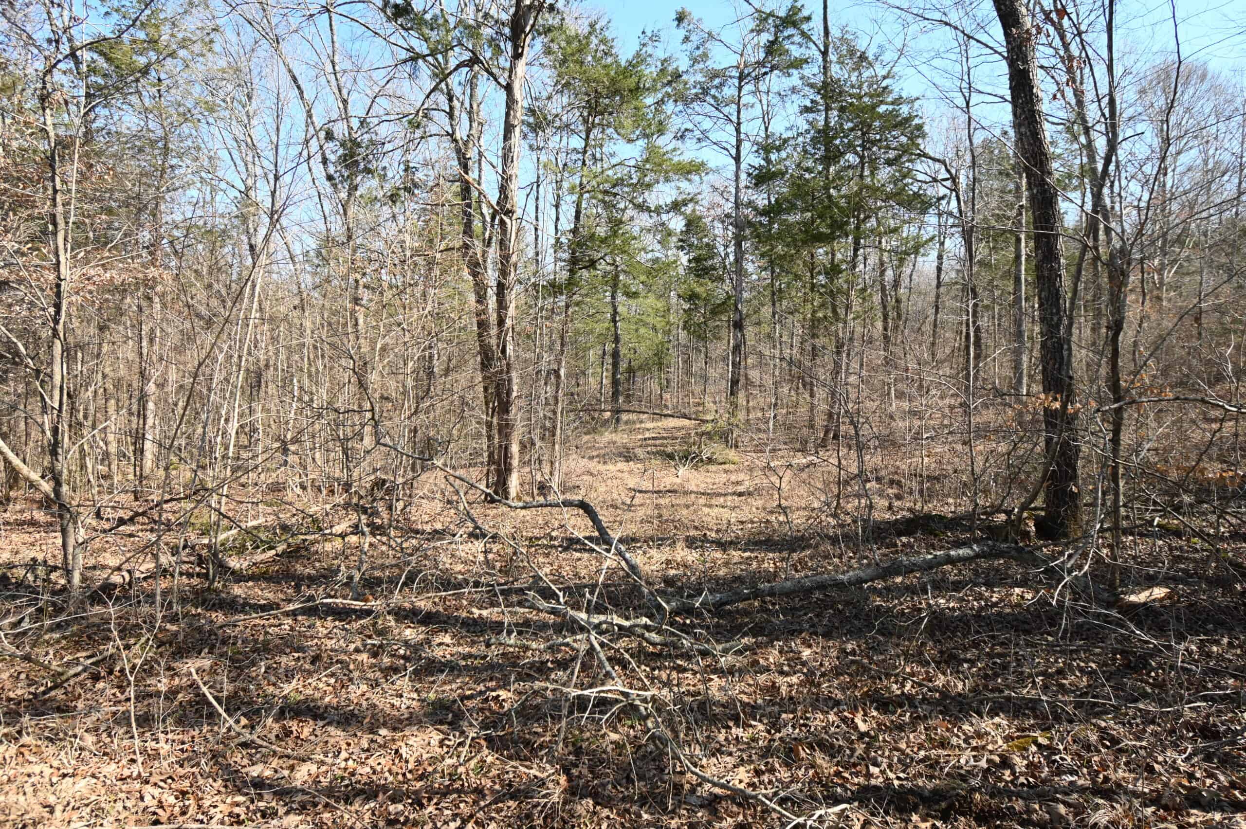 107.63 Acres For Sale in Middle Tennessee!