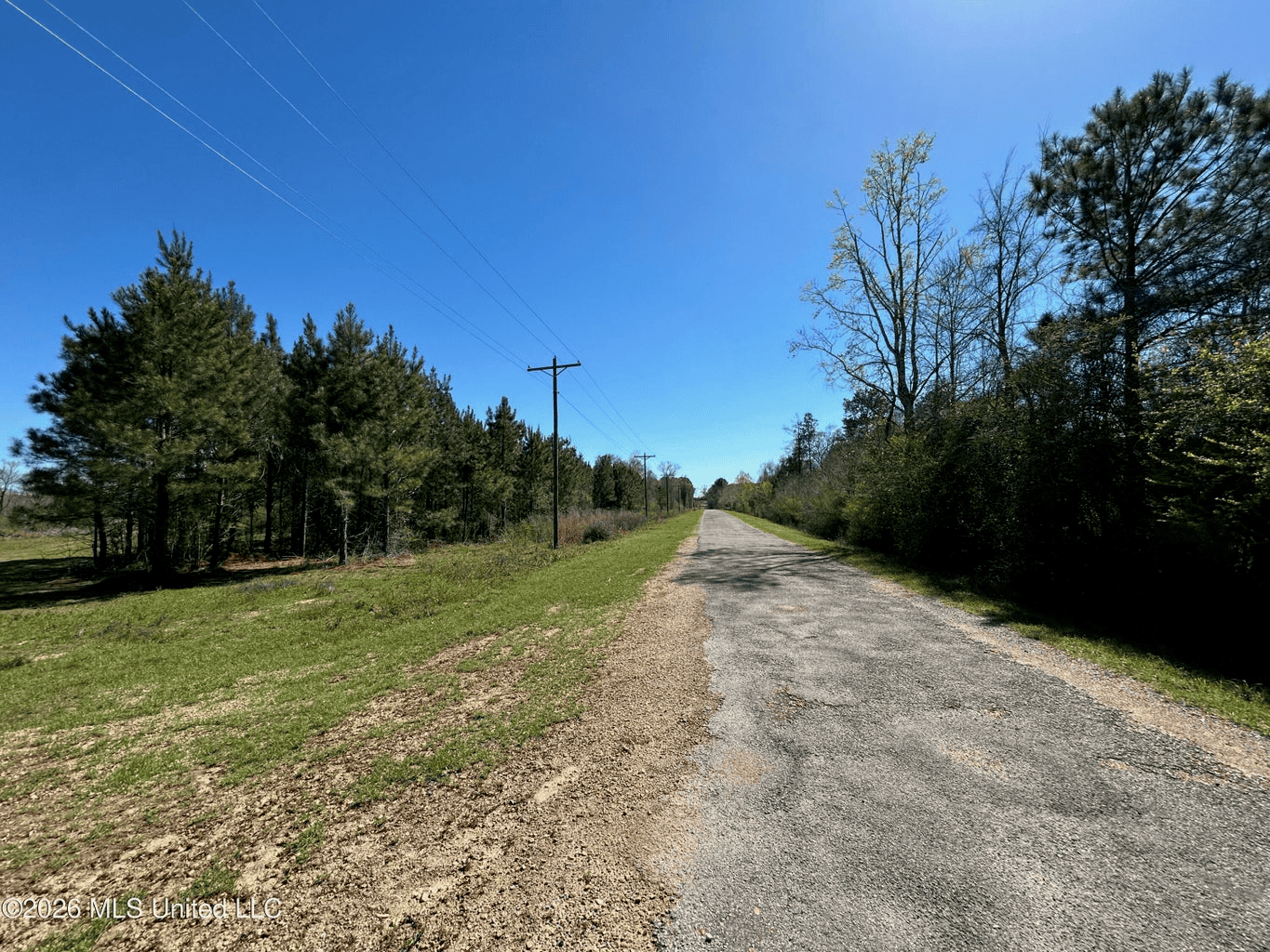 123± Acres Centreville MS on Chance Rd Amite County