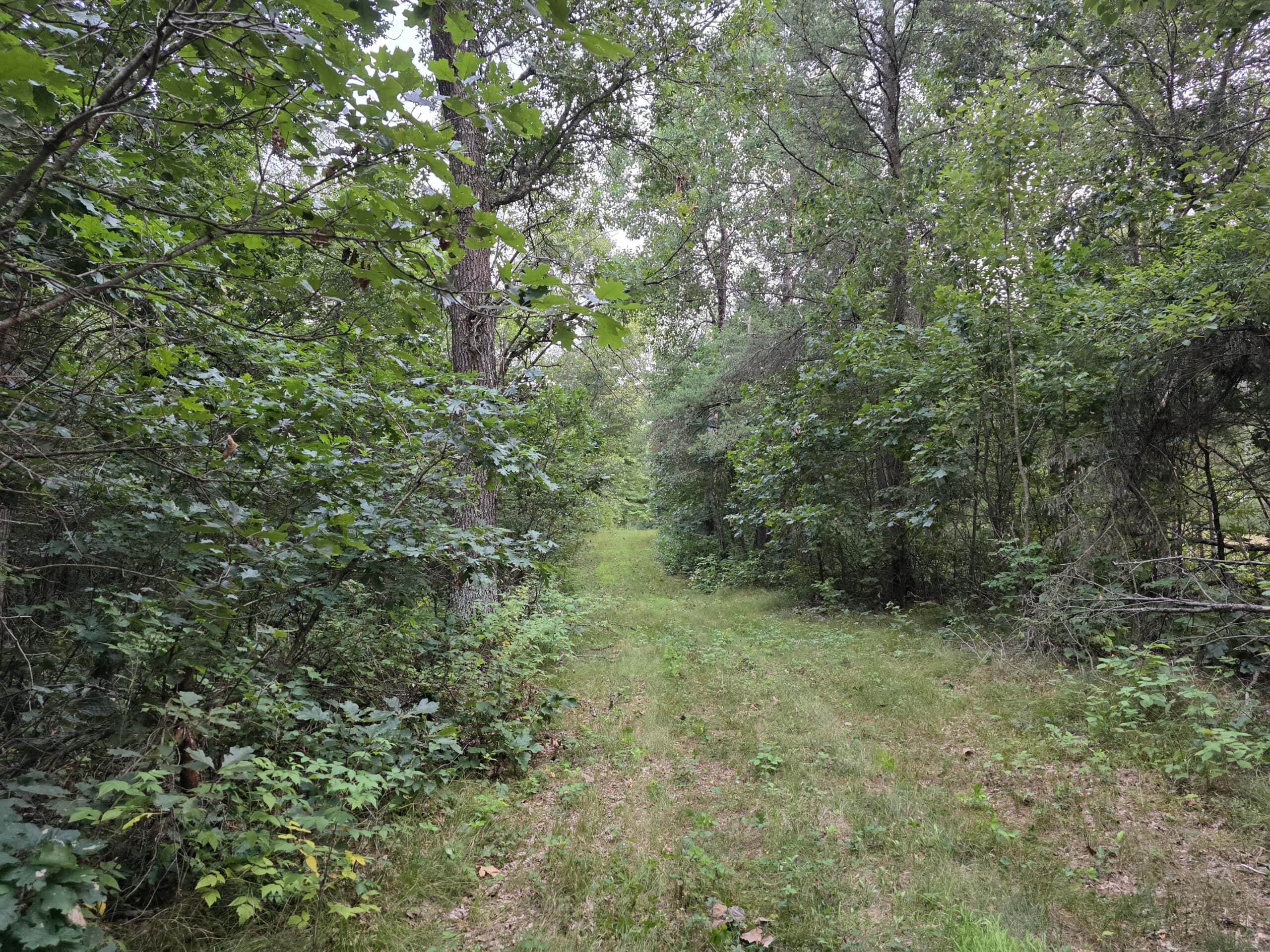 160± acre Monroe County property Located off dead end road,