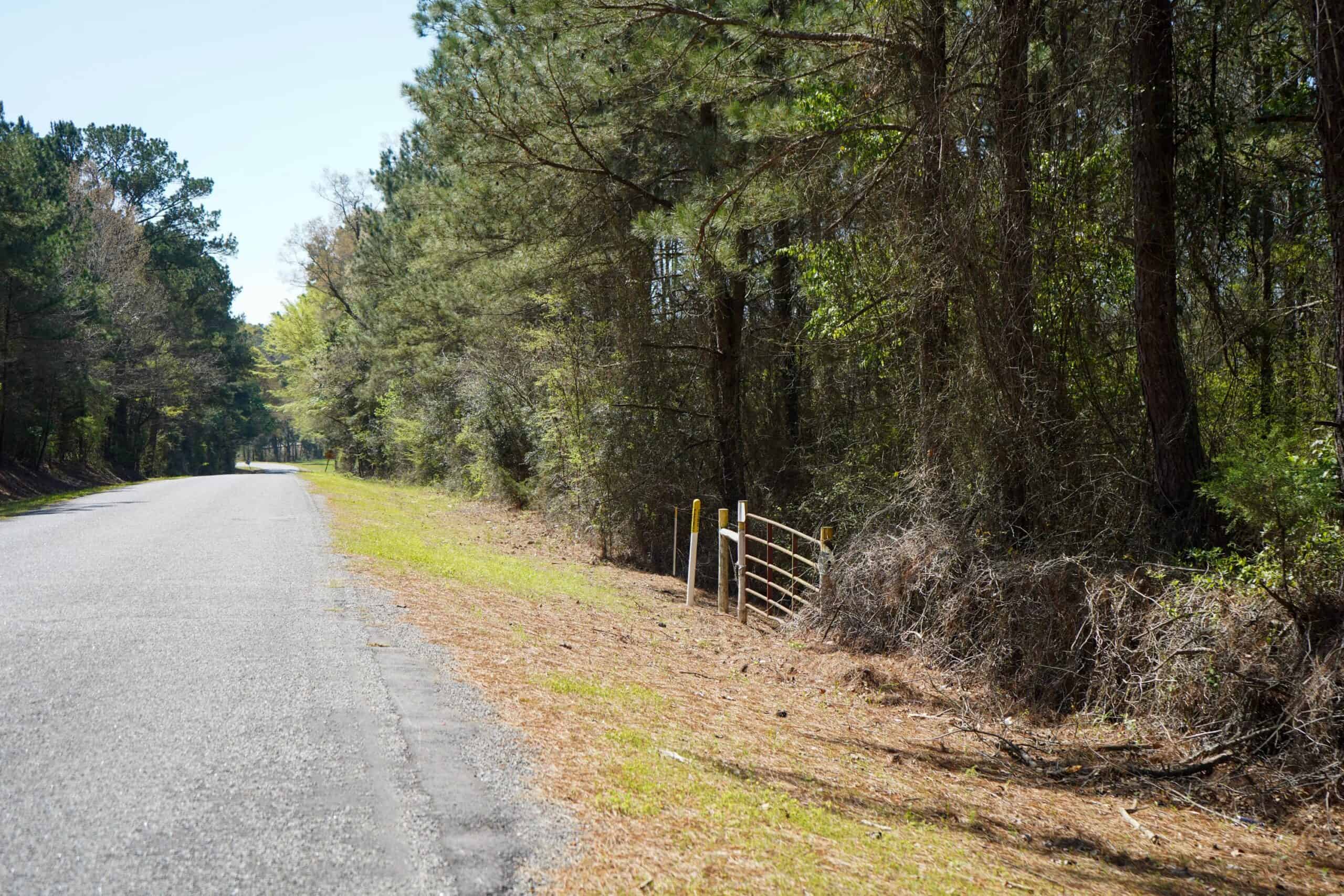 Northeast Lincoln Parish Timberland for Sale