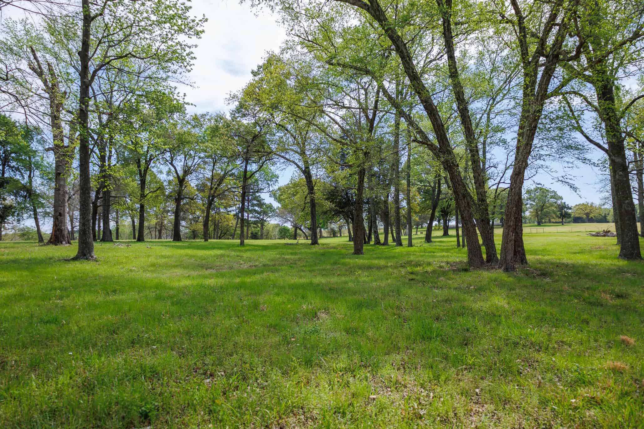East Texas Recreational Ranch Near Ben Wheeler in Van Zandt County