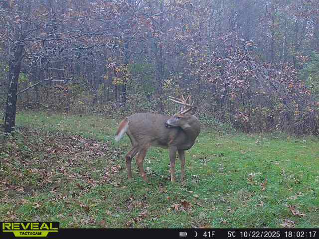 160± acre Monroe County property Located off dead end road,