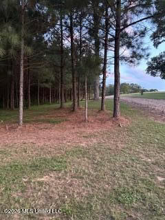 Amite County MS Turnkey 45 Acres
