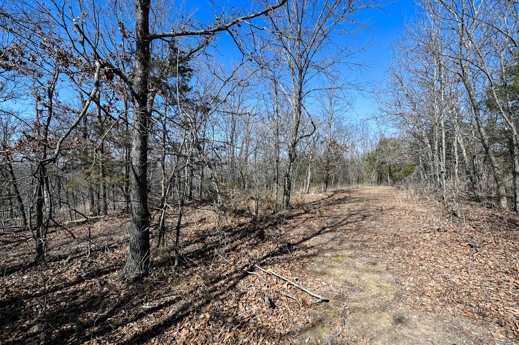 E Hwy C, Lamar, MO, 64759