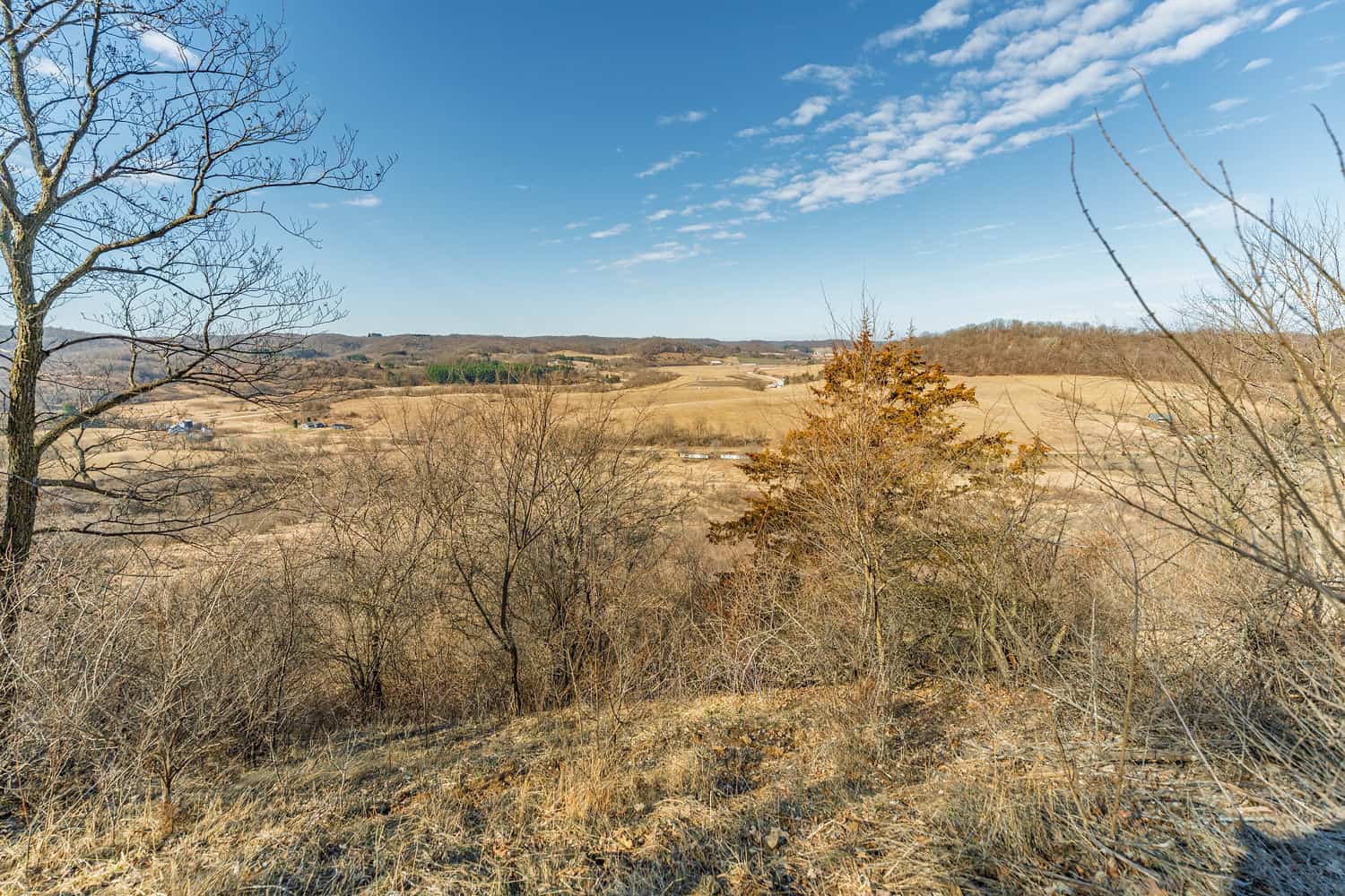 50 Acre Recreational -Hunting Land For Sale Richland County WI