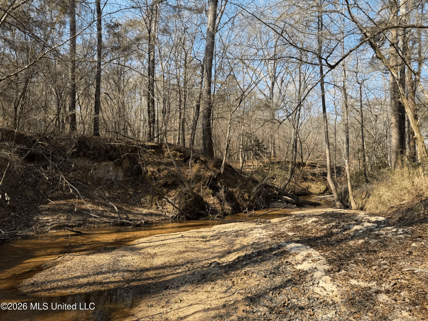 Land for Sale in Simpson County