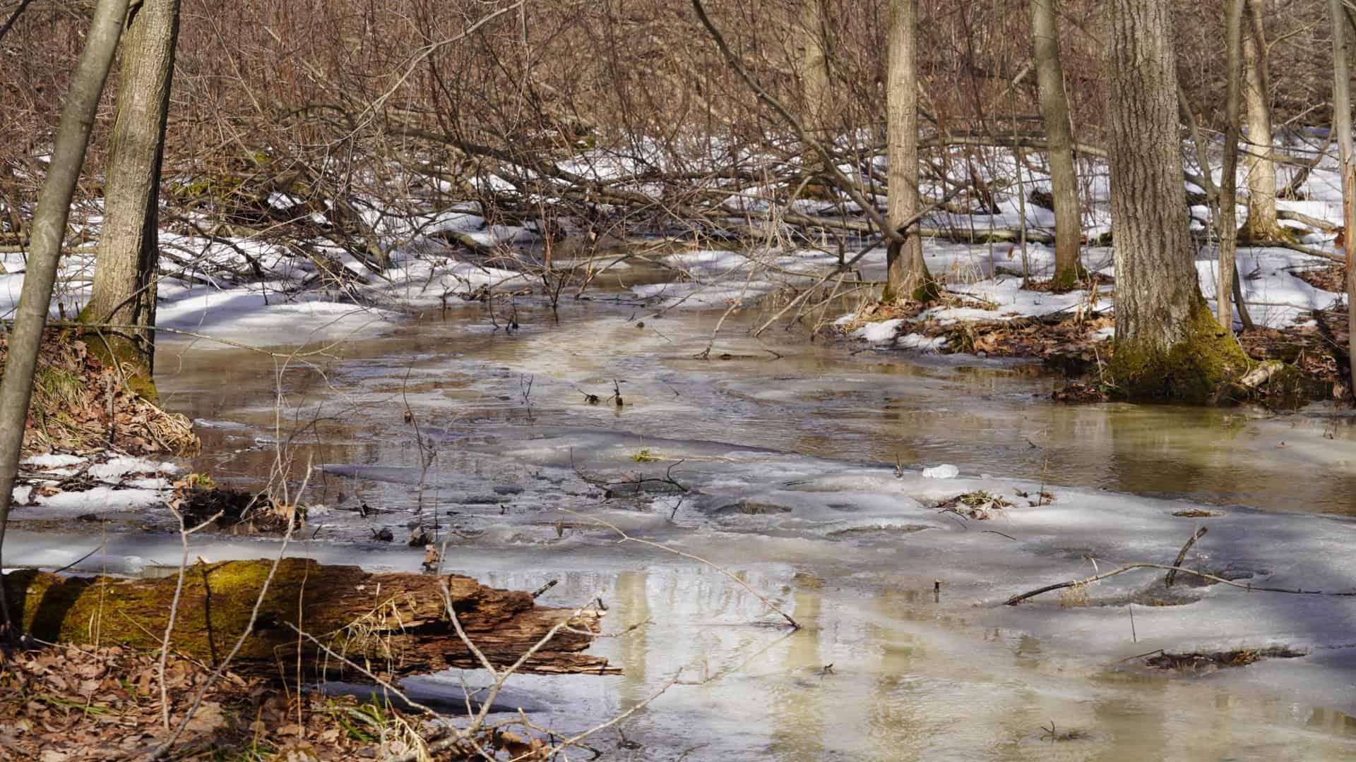 40± acre hunting property outside of Mosinee in Marathon County