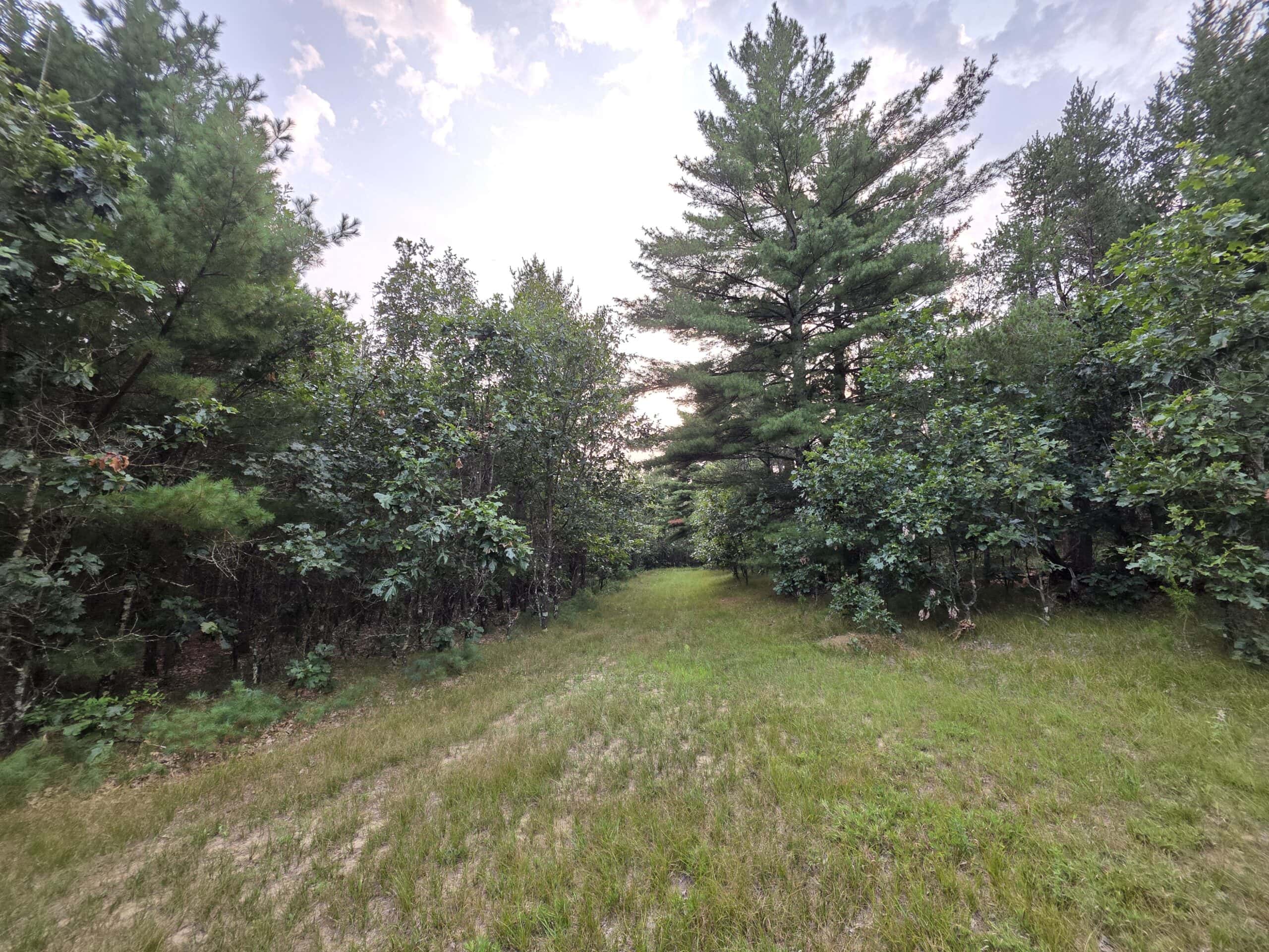 160± acre Monroe County property Located off dead end road,