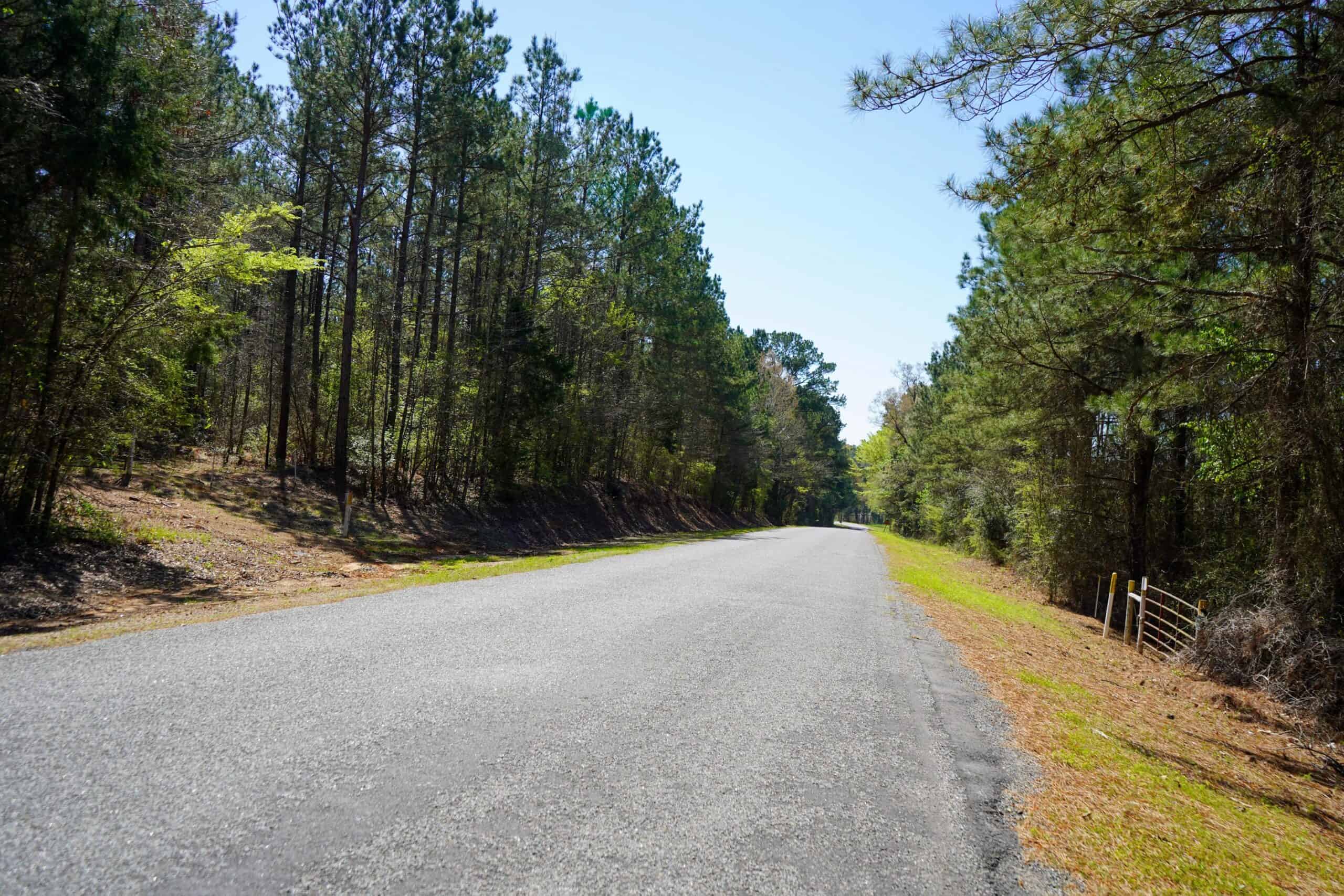 Northeast Lincoln Parish Timberland for Sale