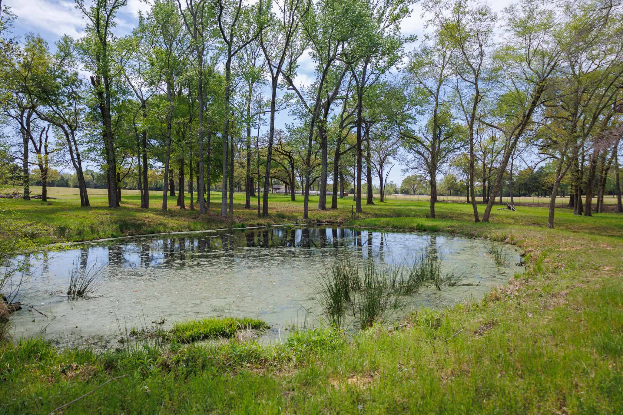 East Texas Recreational Ranch Near Ben Wheeler in Van Zandt County