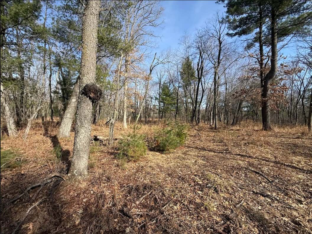 40-Acre Recreational Hunting Tract in Central Monroe County