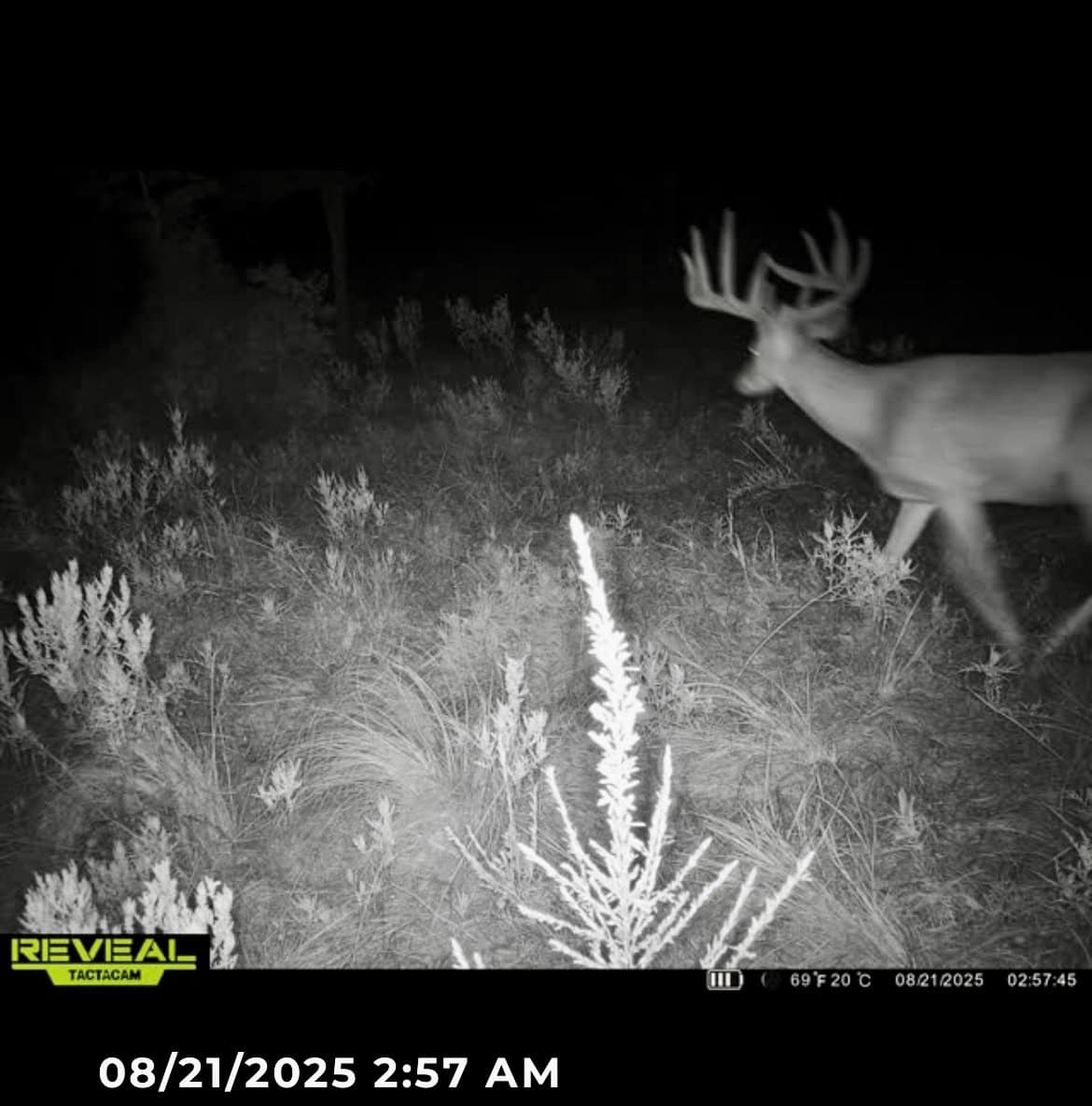 Catcher Ranch: 785 ± Acre Conservation Ranch & Trophy Whitetail Hunting Property Near Stuart, Oklahoma