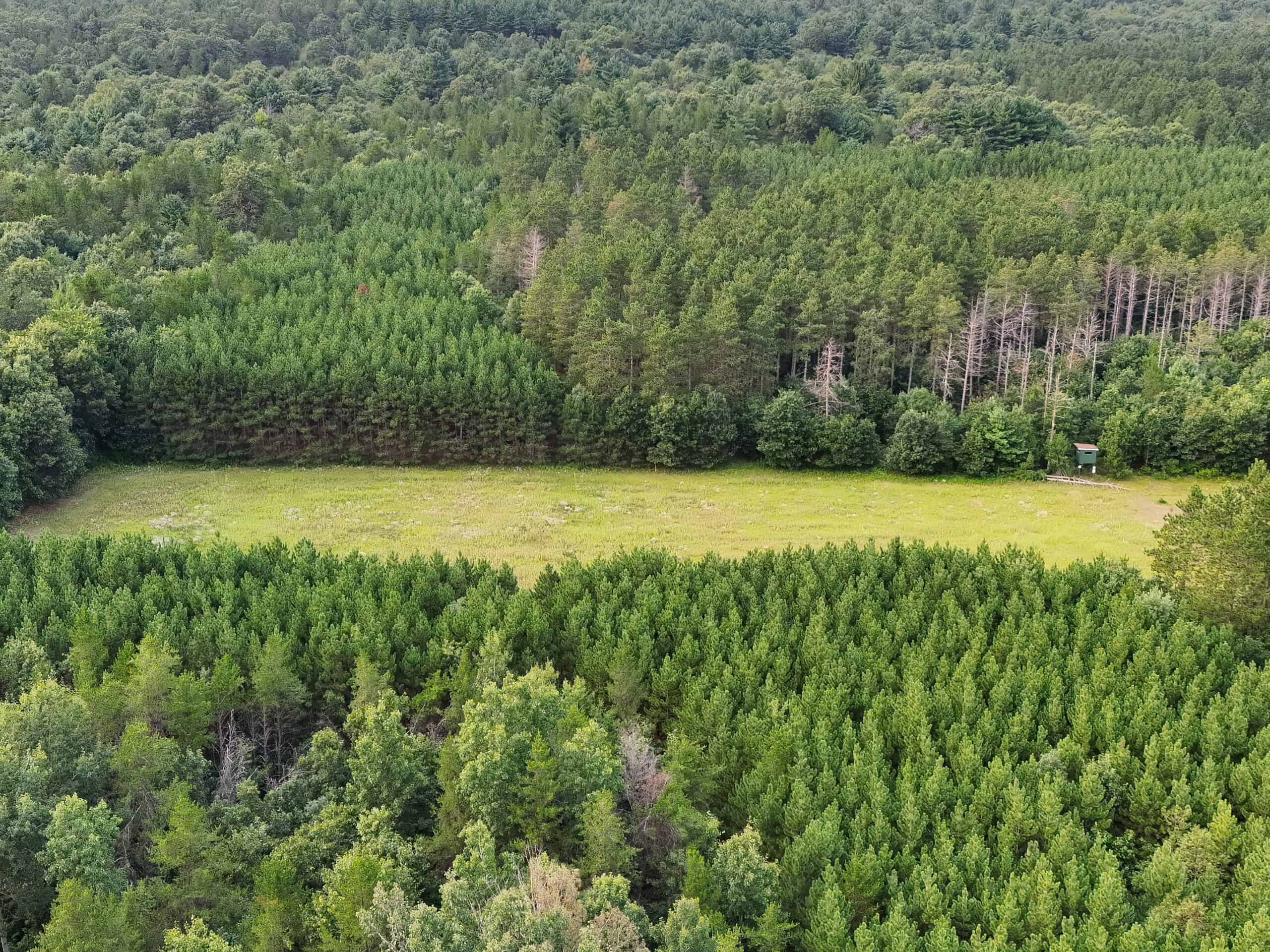 160± acre Monroe County property Located off dead end road,