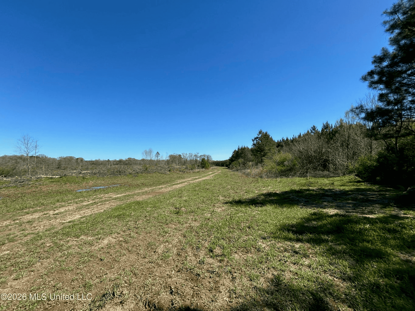 123± Acres Centreville MS on Chance Rd Amite County