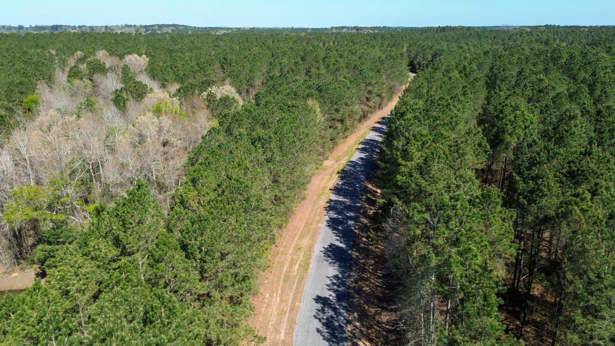 Northeast Lincoln Parish Timberland for Sale