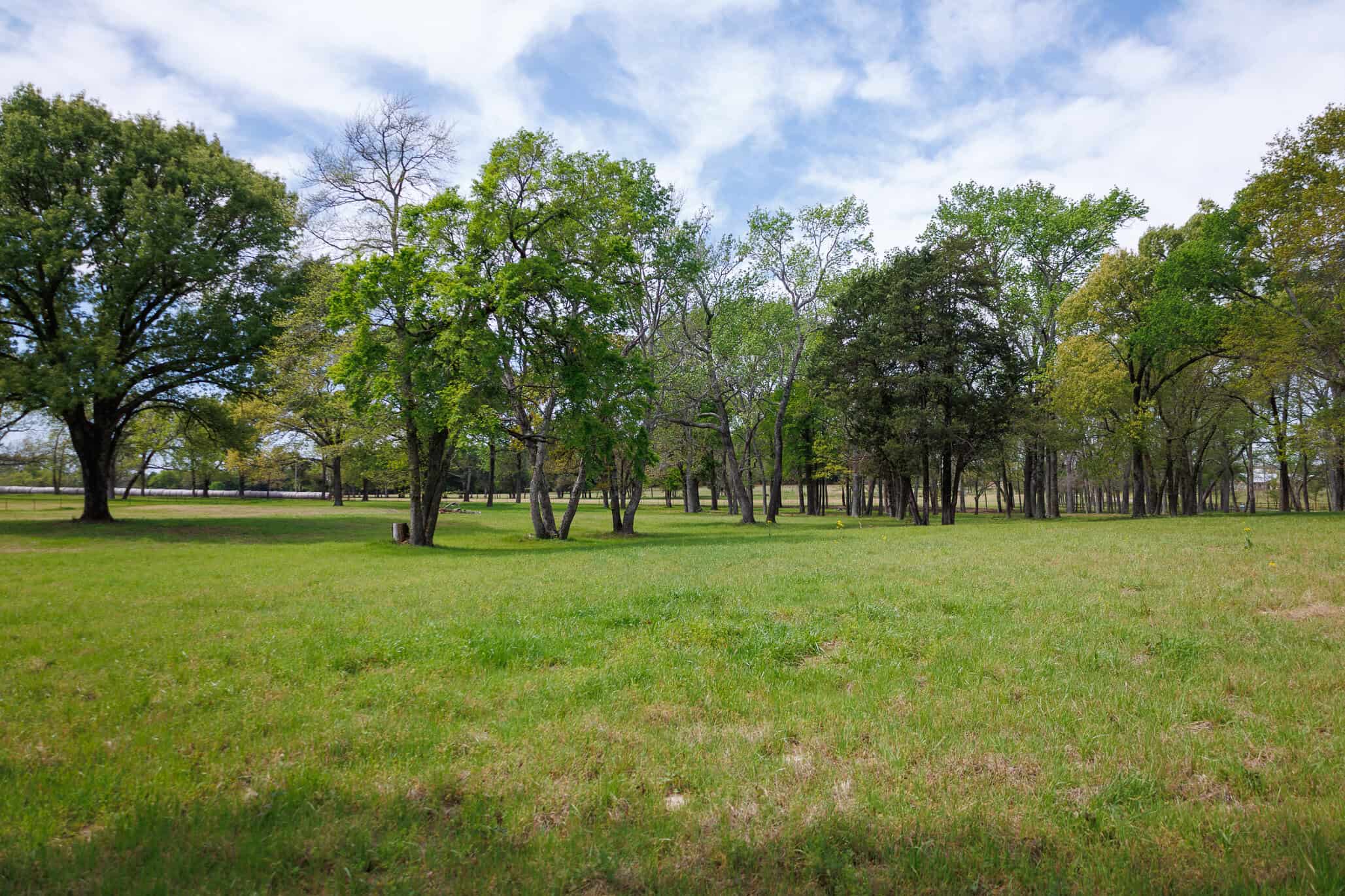 East Texas Recreational Ranch Near Ben Wheeler in Van Zandt County