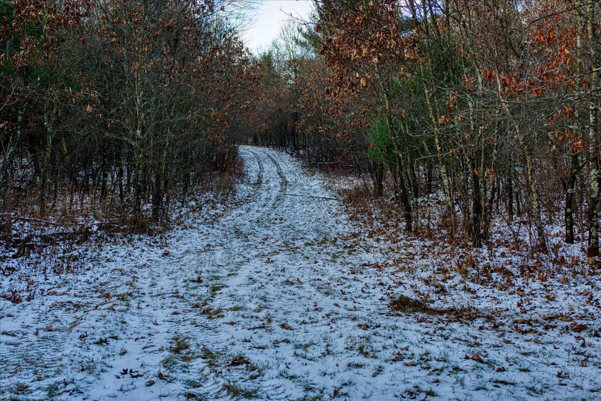 160± acre Monroe County property Located off dead end road,