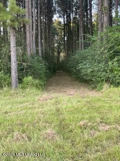 Amite County MS Turnkey 45 Acres