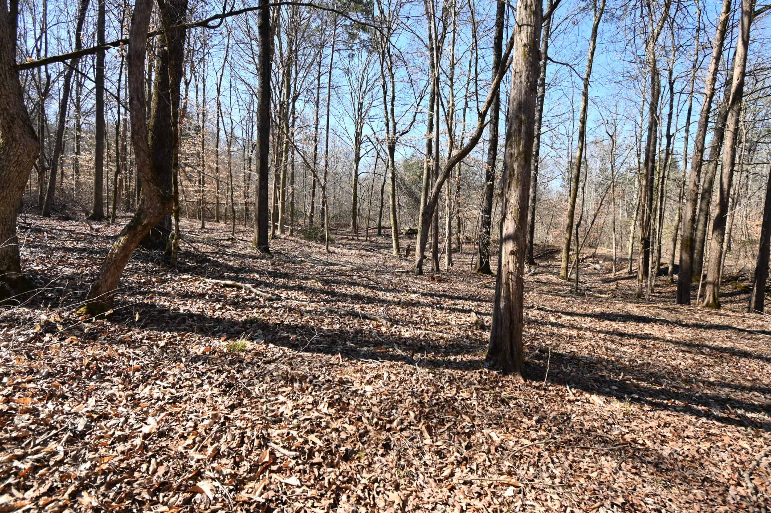 107.63 Acres For Sale in Middle Tennessee!