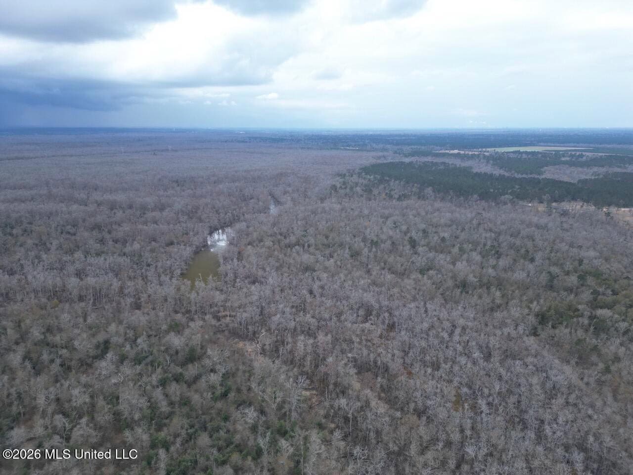 431± Acres with Calcasieu River Frontage in Calcasieu Parish
