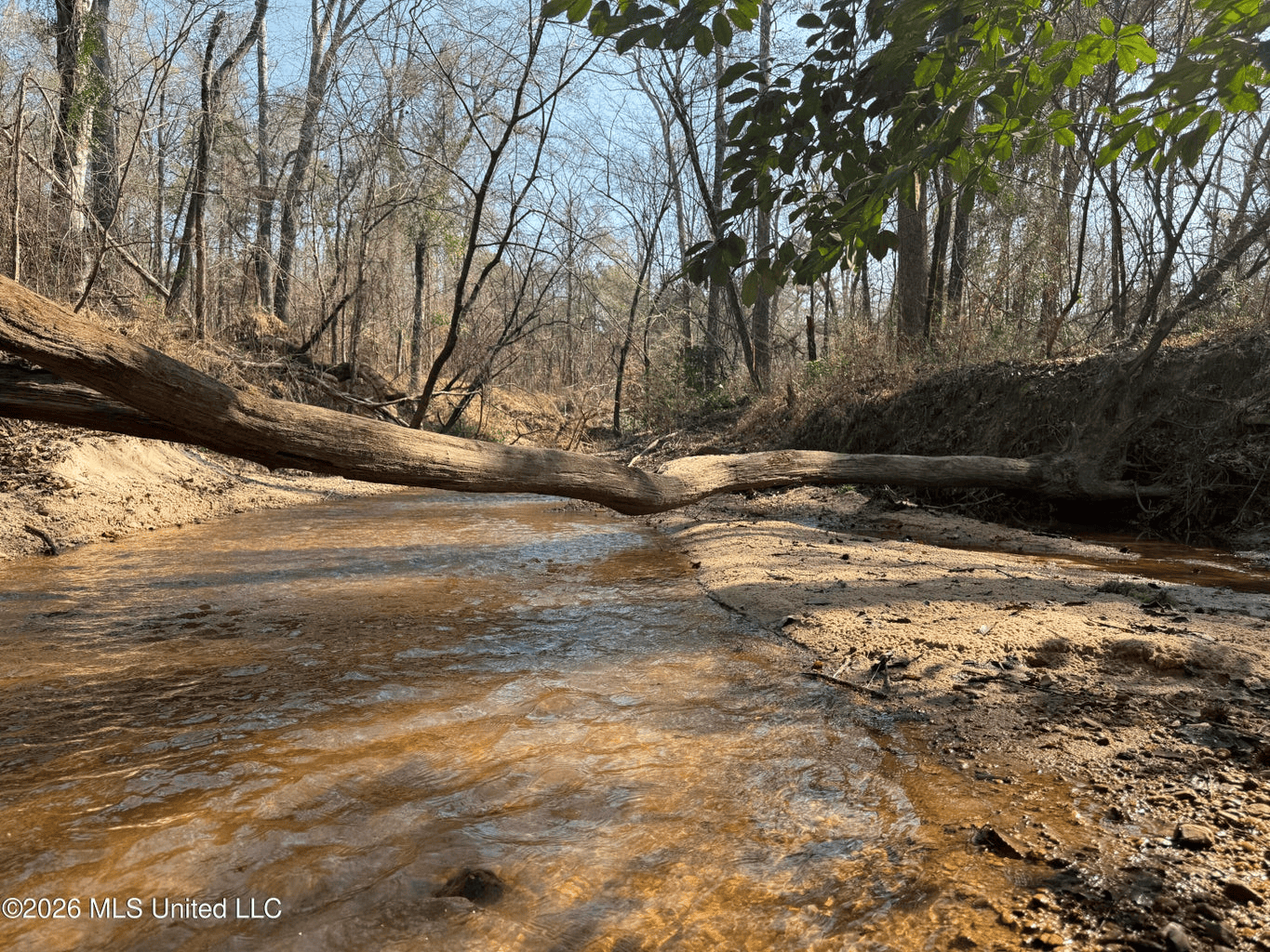 Land for Sale in Simpson County