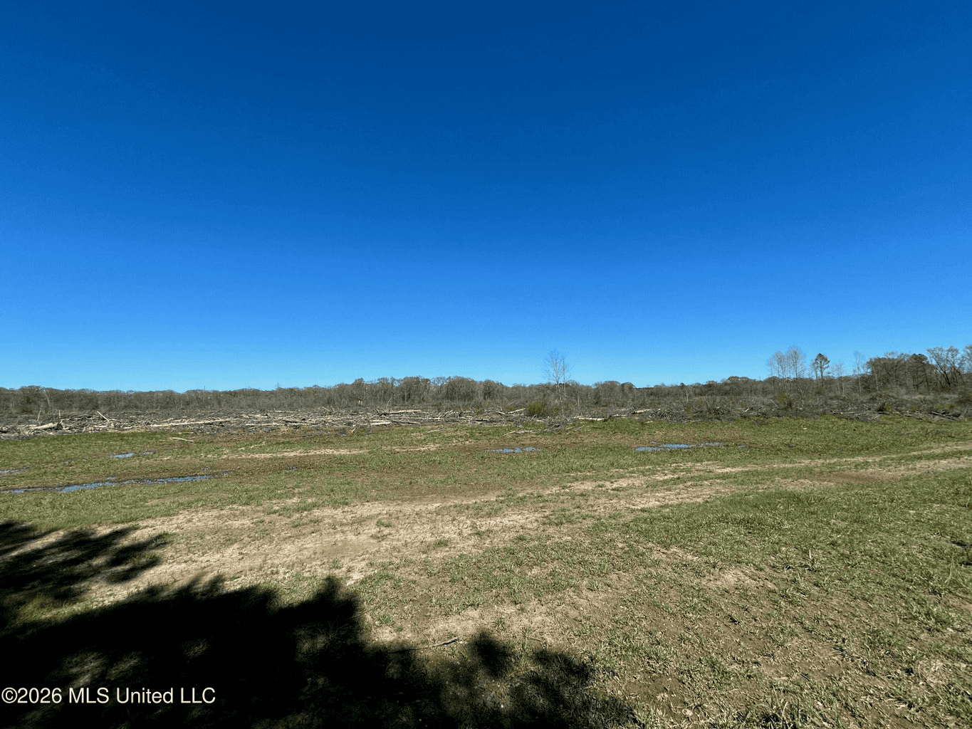 123± Acres Centreville MS on Chance Rd Amite County