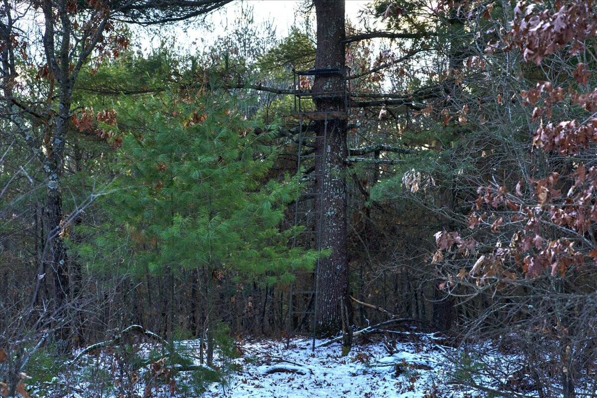 160± acre Monroe County property Located off dead end road,